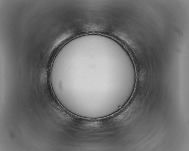 X0000111451309200907271222