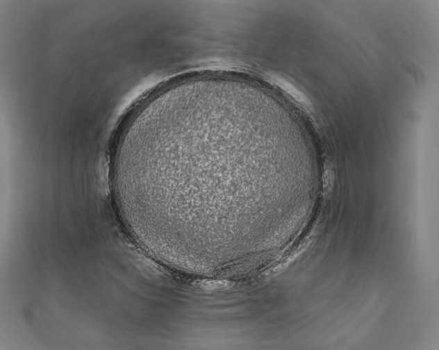 X0000111451310200907271222