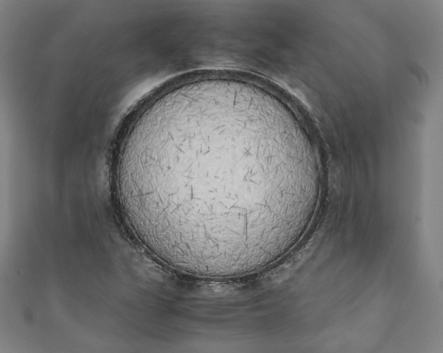 X0000111451311200907271222