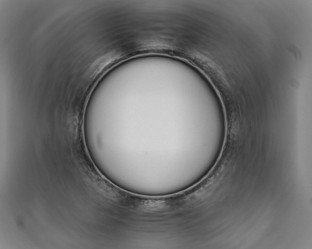 X0000111451313200907271222