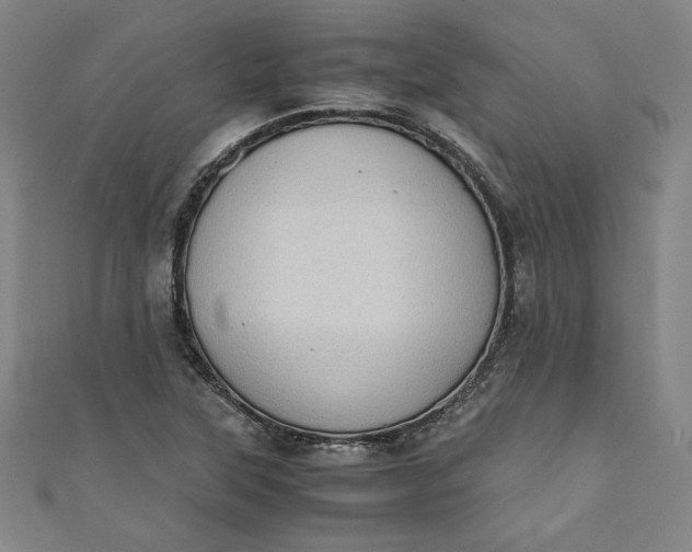 X0000111451315200907271222