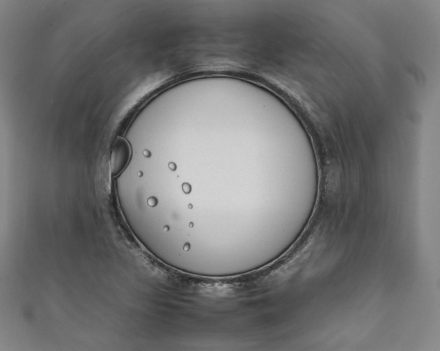 X0000111451317200907271222