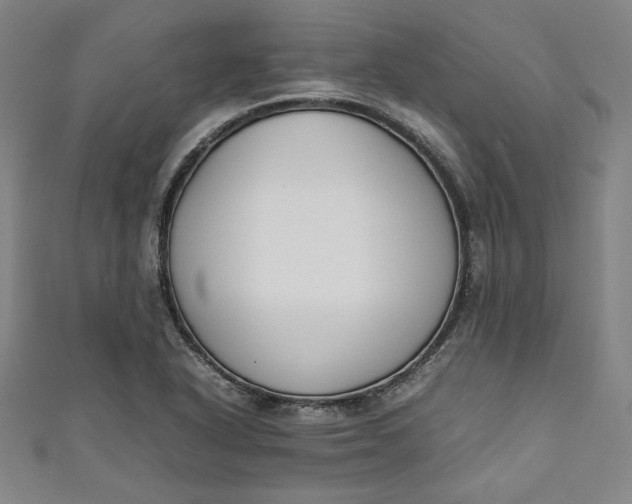 X0000111451318200907271222