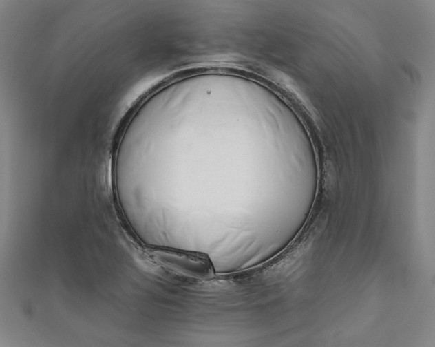 X0000111451320200907271222