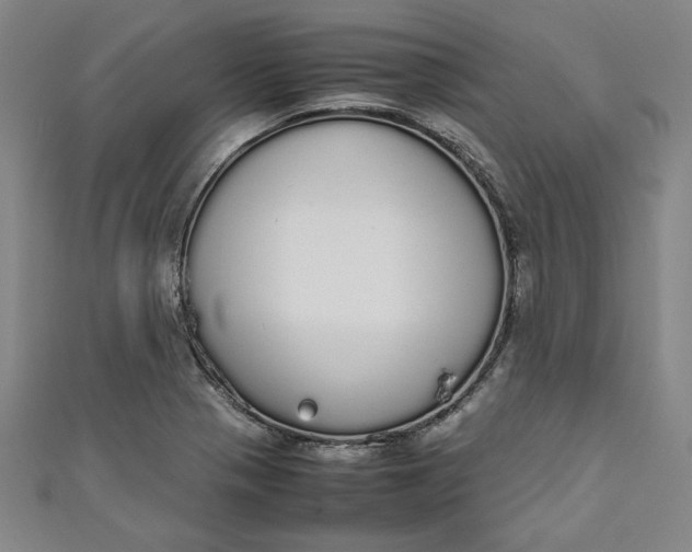 X0000111451321200907271222