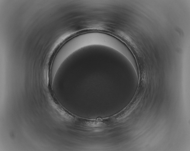 X0000111451323200907271222
