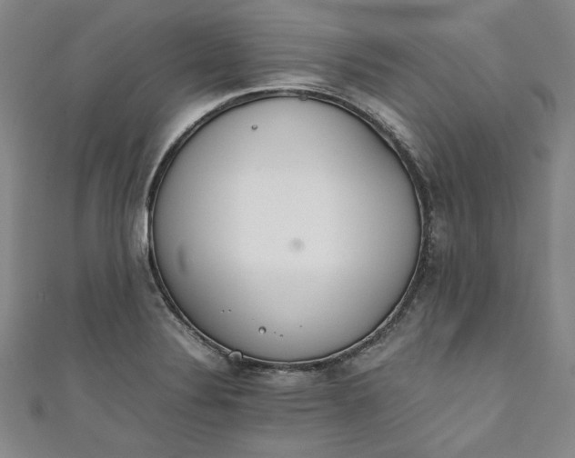X0000111451324200907271222