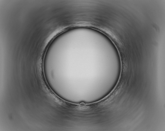 X0000111451325200907271222