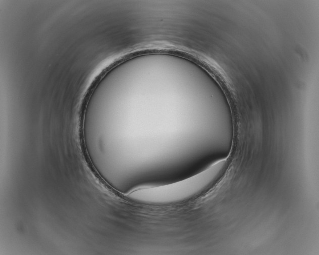 X0000111451326200907271222