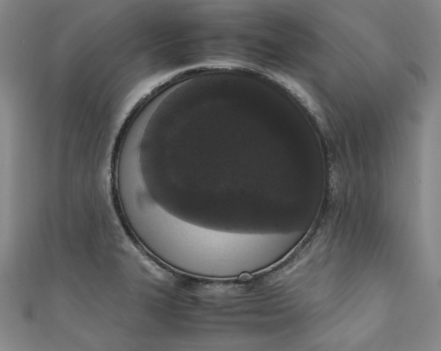 X0000111451327200907271222