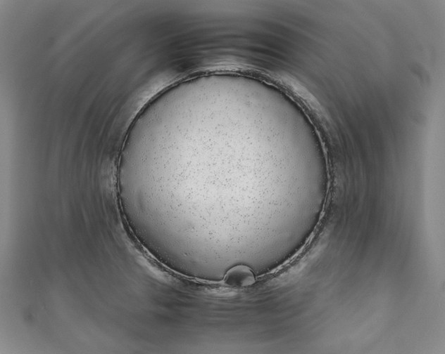 X0000111451329200907271223