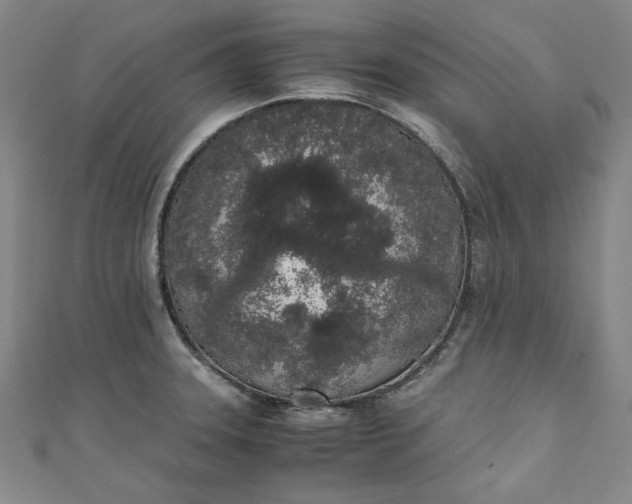 X0000111451331200907271223