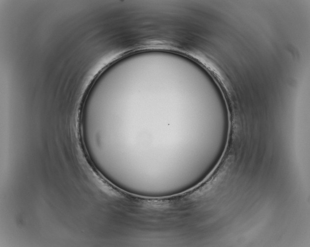 X0000111451333200907271223