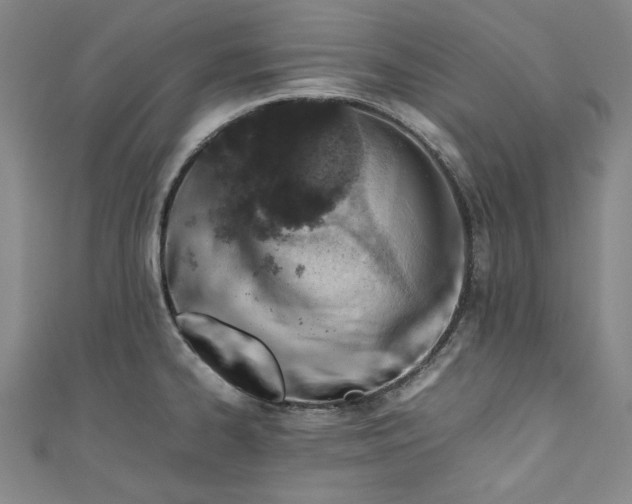X0000111451334200907271223