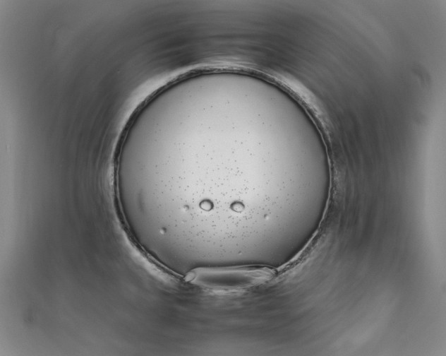 X0000111451335200907271223