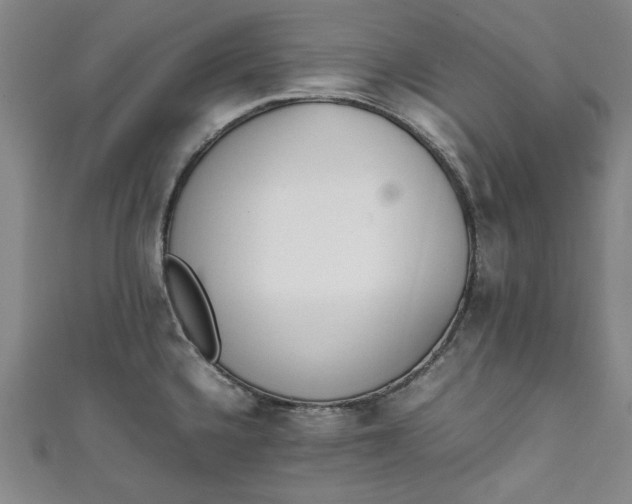 X0000111451336200907271223