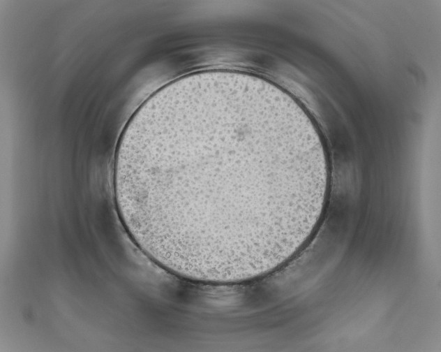 X0000111451338200907271223