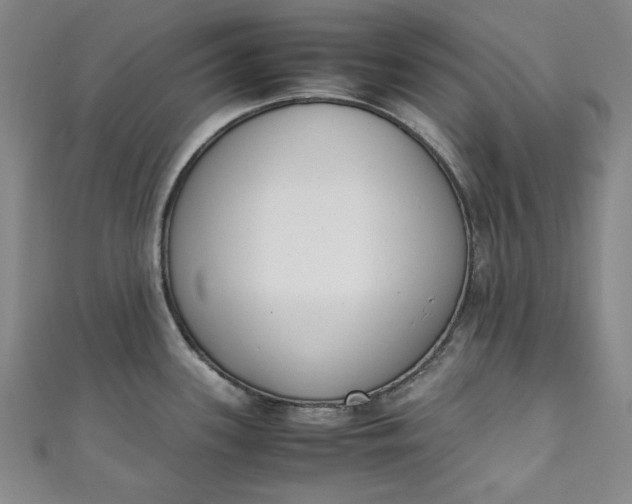 X0000111451339200907271223