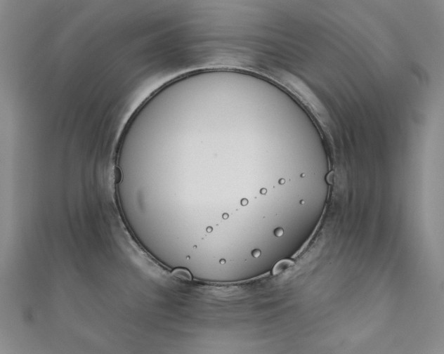 X0000111451340200907271223
