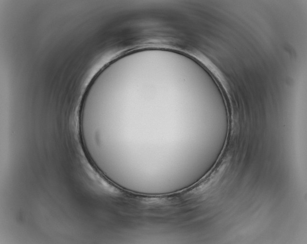 X0000111451341200907271223