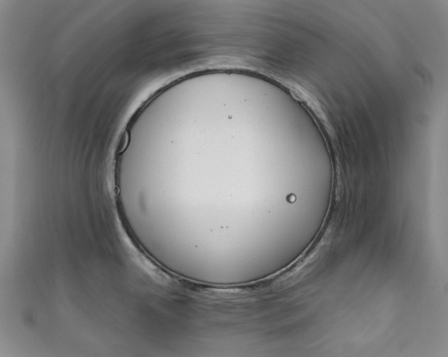 X0000111451342200907271223
