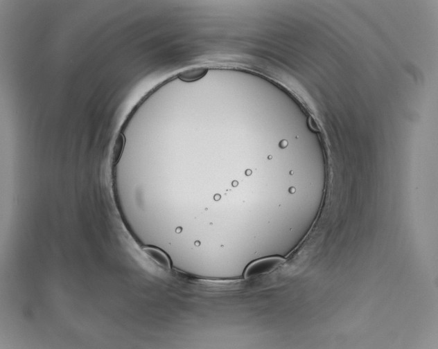 X0000111451344200907271223