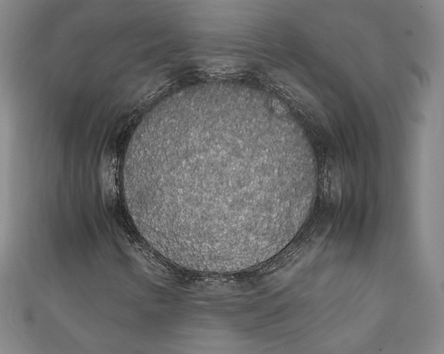 X0000111451346200907271222