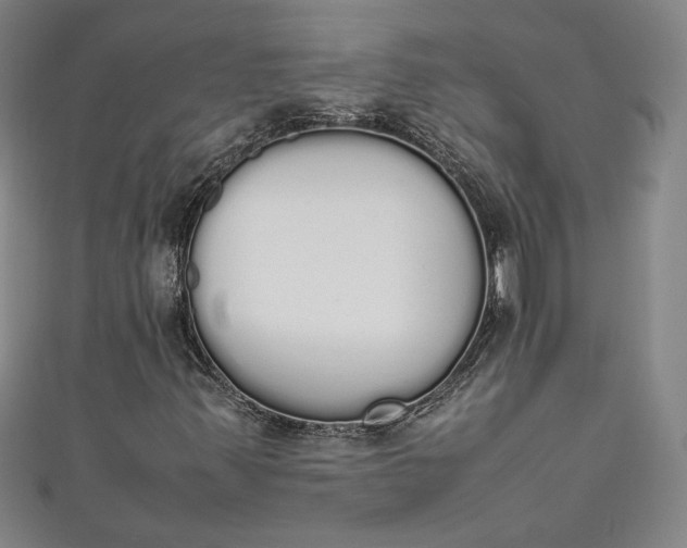 X0000111451347200907271222