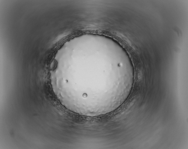 X0000111451350200907271222
