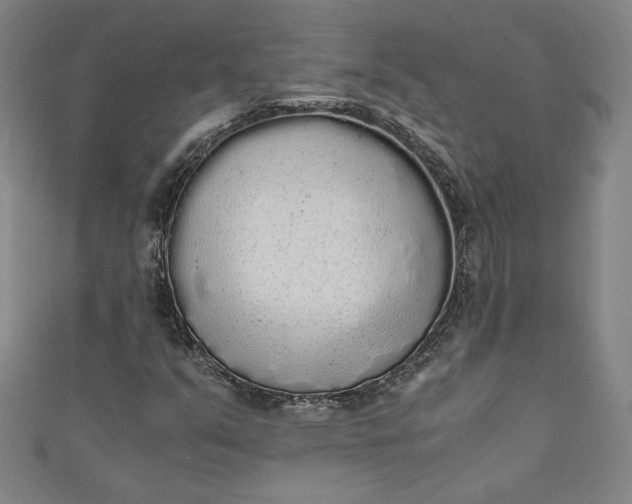 X0000111451351200907271222