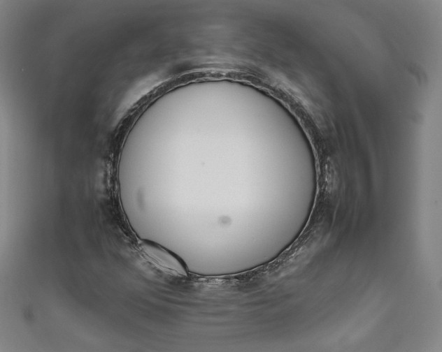 X0000111451352200907271222