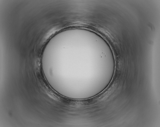 X0000111451355200907271222