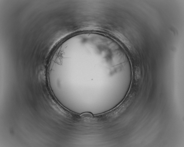 X0000111451356200907271222