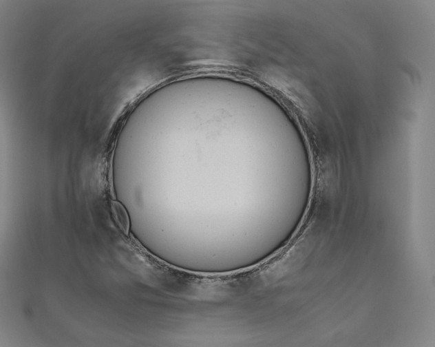 X0000111451357200907271222