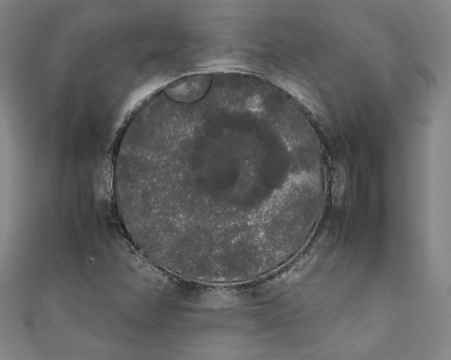X0000111451358200907271222