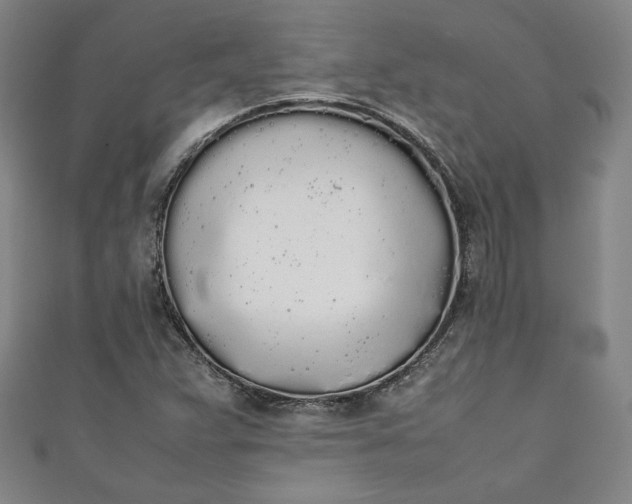 X0000111451359200907271222