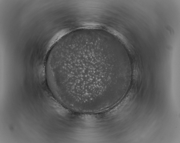 X0000111451362200907271222