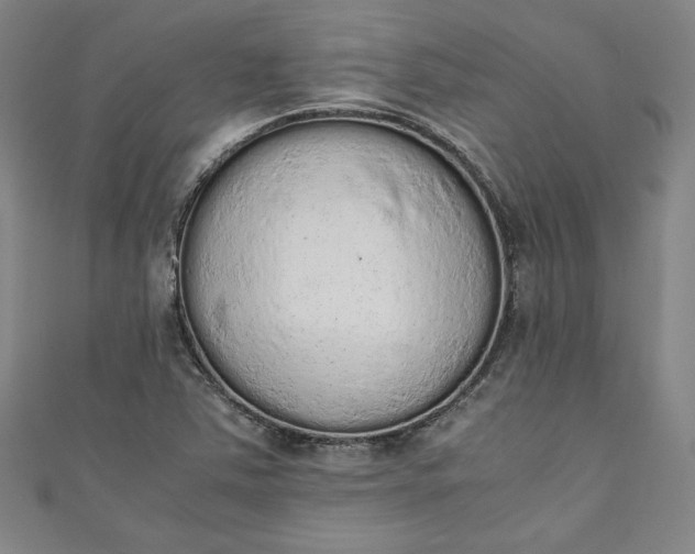X0000111451363200907271222