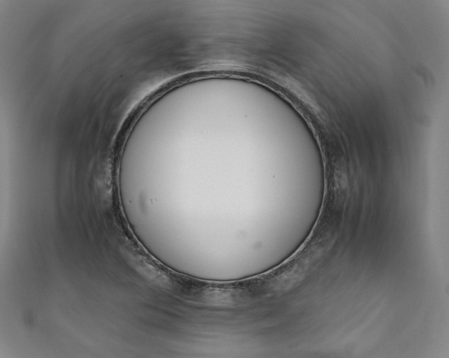X0000111451364200907271222