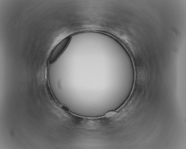 X0000111451365200907271222