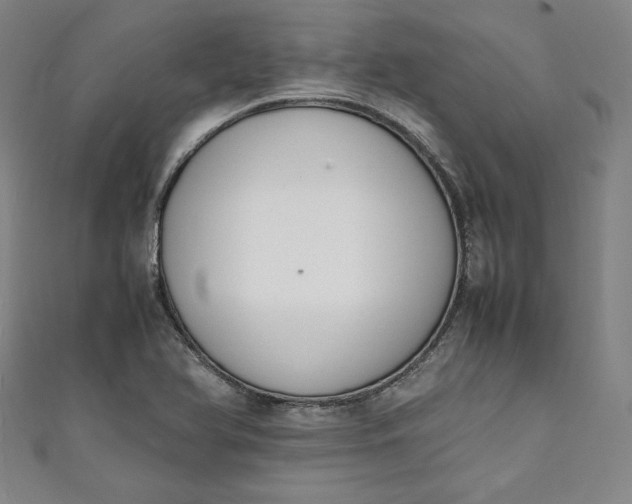 X0000111451366200907271222