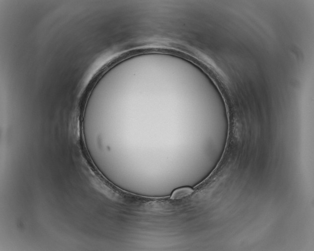 X0000111451368200907271222