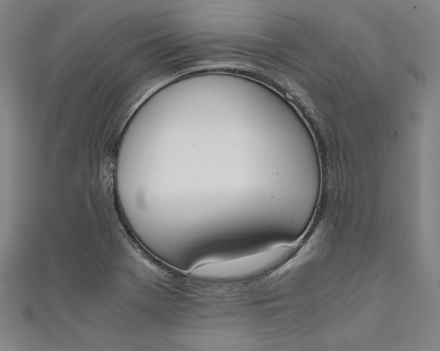 X0000111451369200907271222