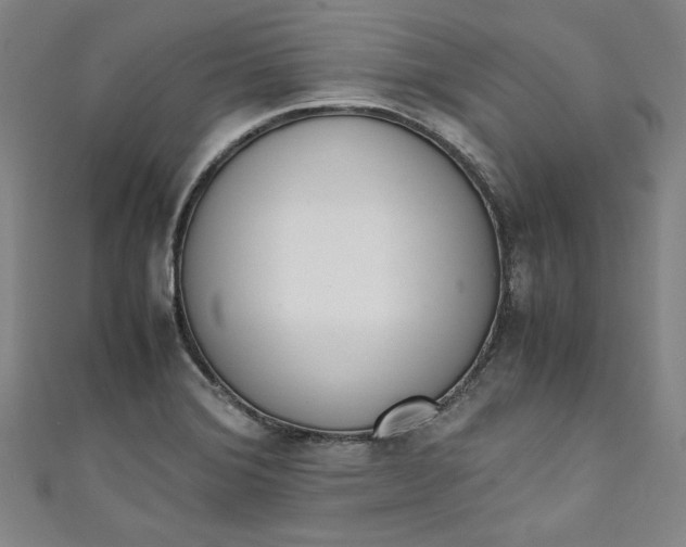X0000111451372200907271222