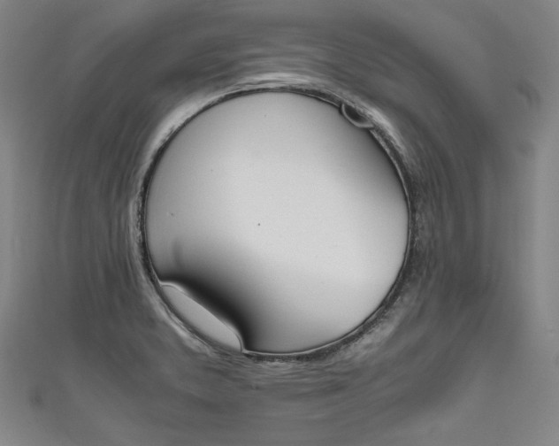 X0000111451373200907271222