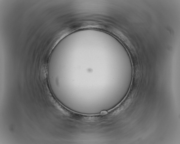 X0000111451377200907271222