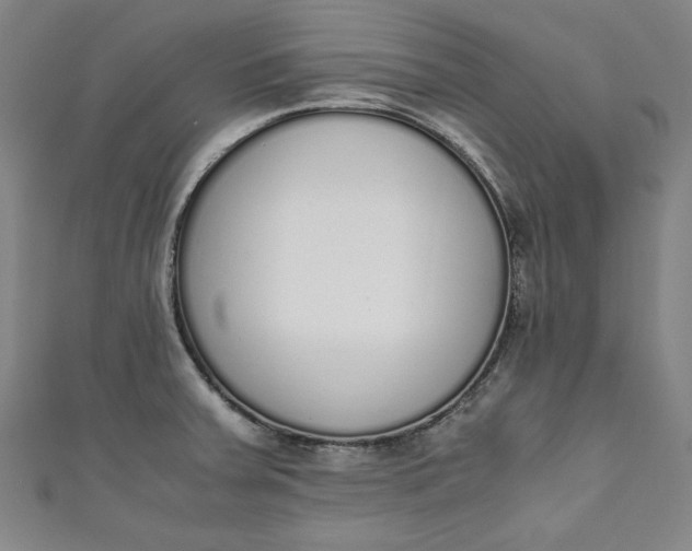 X0000111451379200907271222