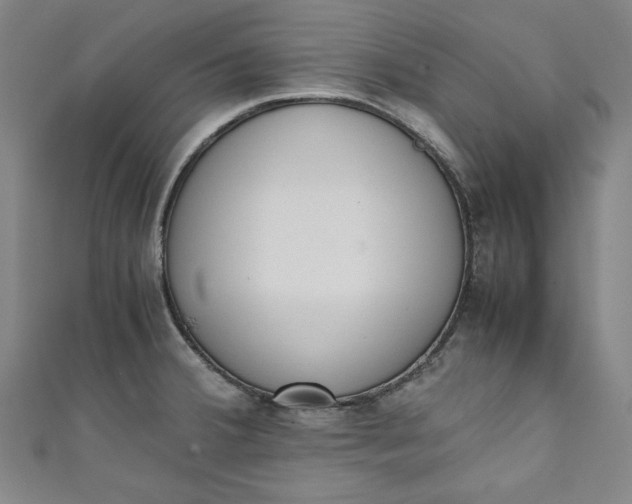 X0000111451380200907271222