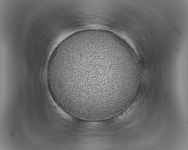 X0000111451381200907271222