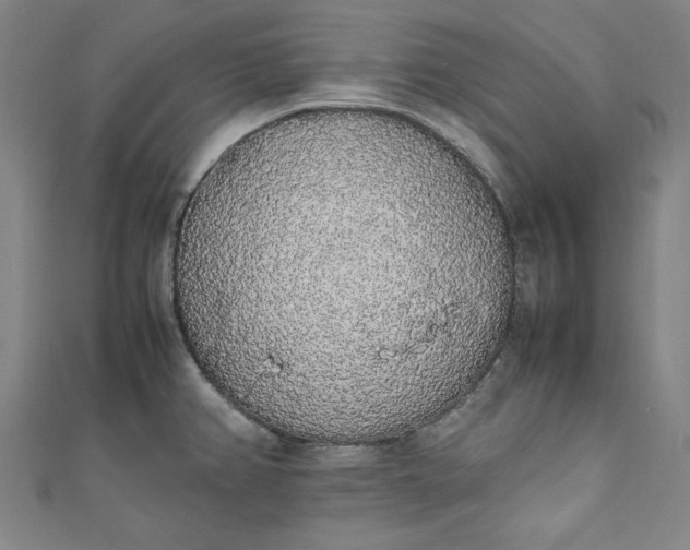 X0000111451382200907271222